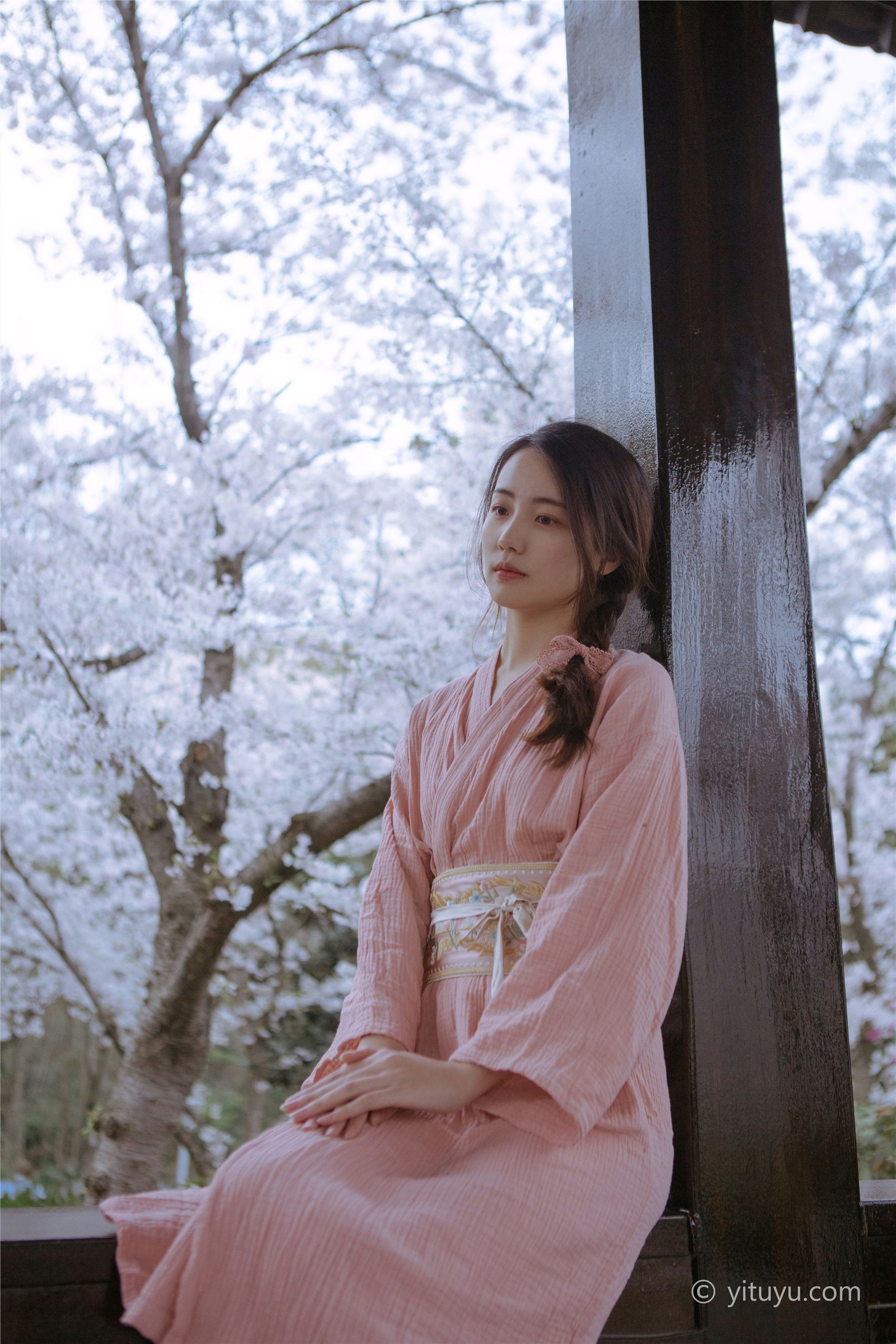 As the wind warms, cherry blossoms will be a small April